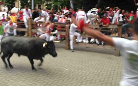 Don Cecilio Guesthouse (Centro)